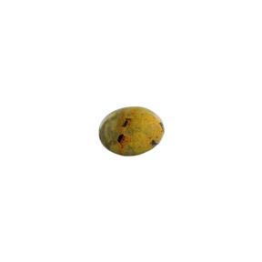 Bumble Bee Jasper Tumblestone (24g)