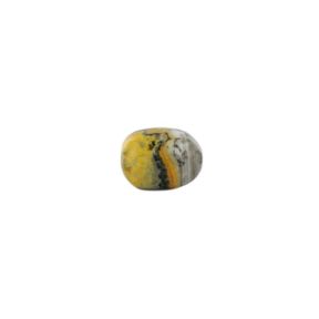 Bumble Bee Jasper Tumblestone (31g)