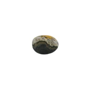 Bumble Bee Jasper Tumblestone (35g)